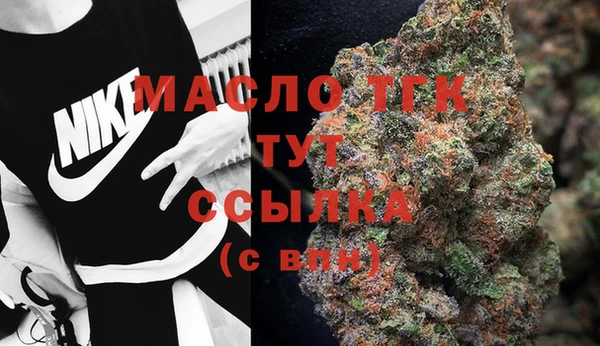 спайс Дмитриев